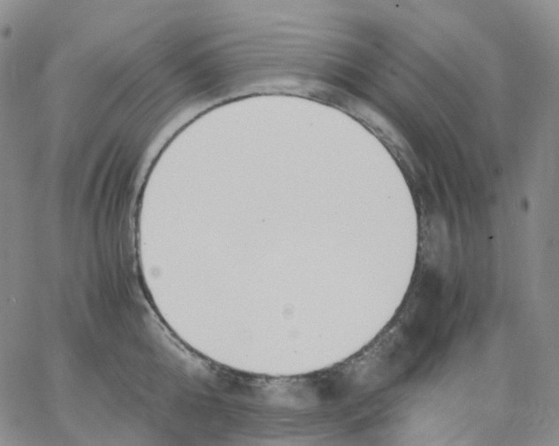 X0000062900808200602101805