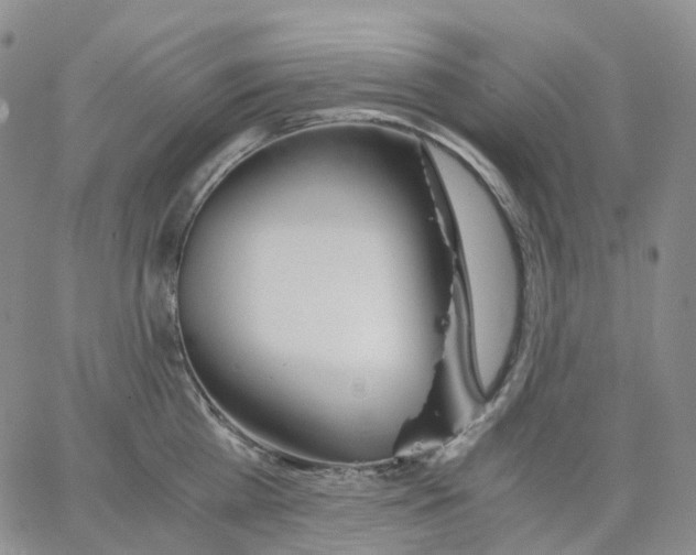 X0000062900809200602101805