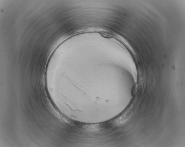 X0000062900810200602101805