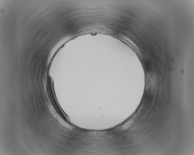 X0000062900812200602101805