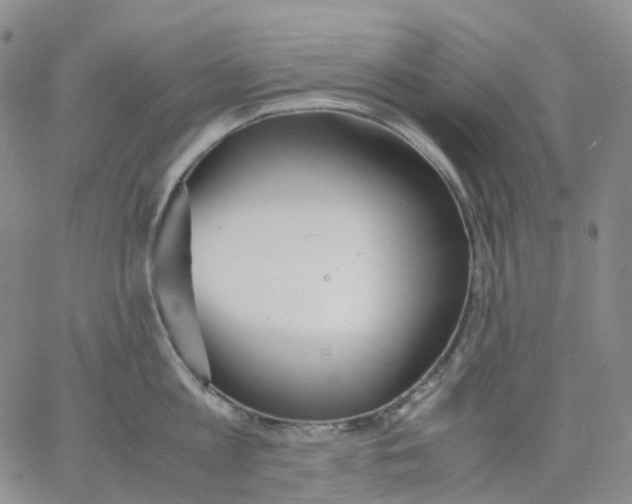 X0000062900813200602101805