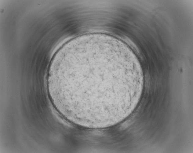 X0000062900814200602101805