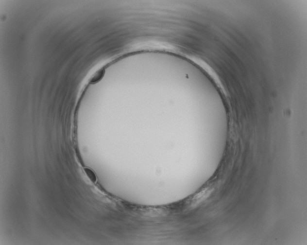 X0000062900815200602101805