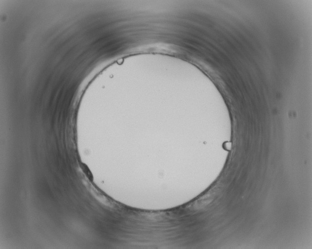 X0000062900816200602101805