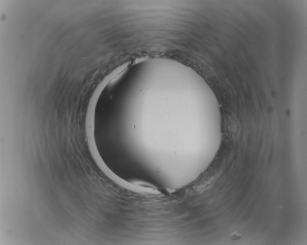 X0000062900818200602101804