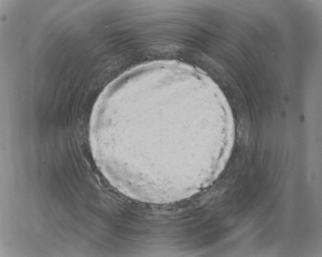 X0000062900819200602101804