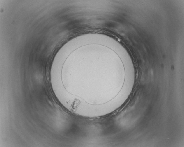 X0000062900820200602101804