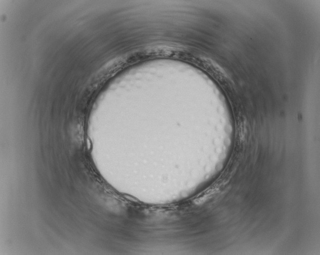 X0000062900821200602101804