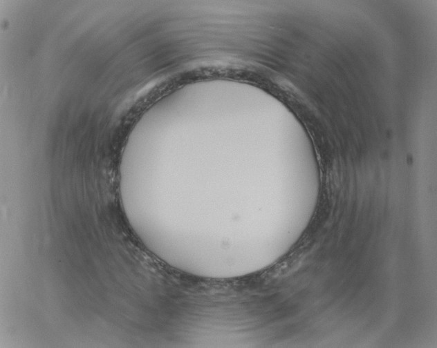 X0000062900822200602101804