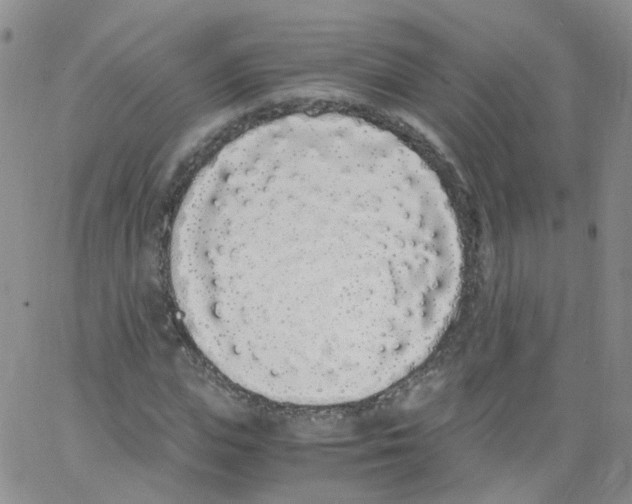 X0000062900823200602101804