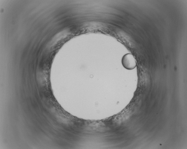 X0000062900824200602101804