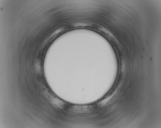 X0000062900825200602101804