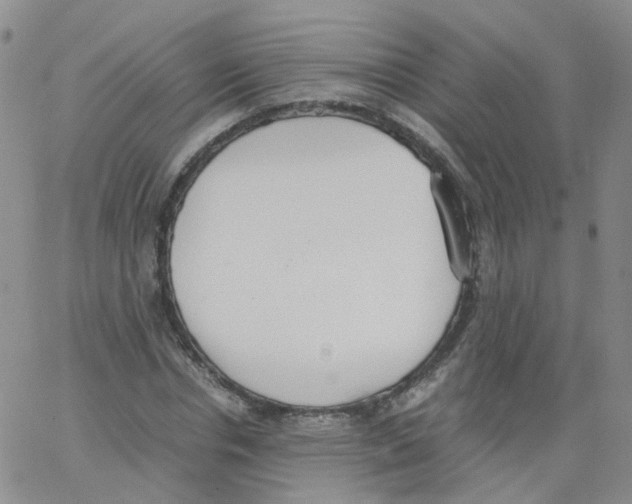 X0000062900826200602101804