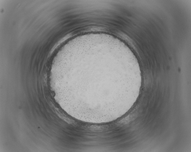 X0000062900827200602101804