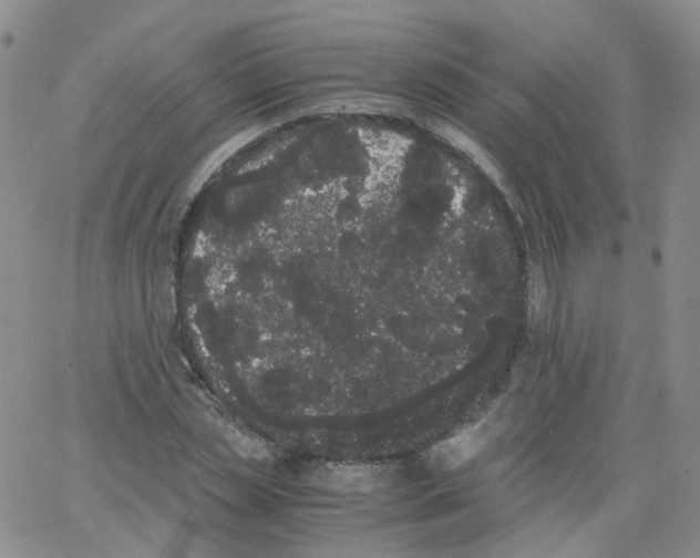 X0000062900829200602101804