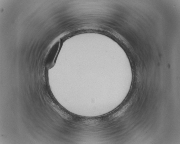 X0000062900830200602101804