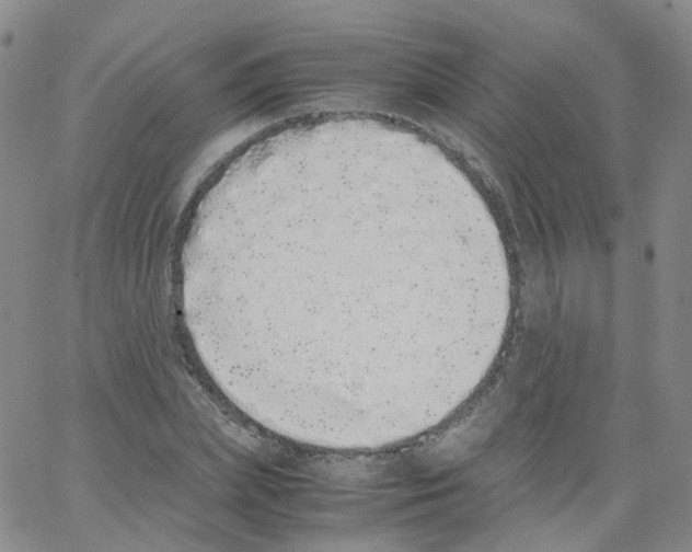 X0000062900831200602101804