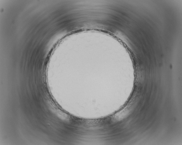 X0000062900832200602101804