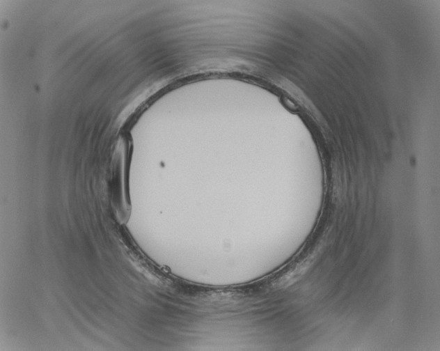 X0000062900834200602101804