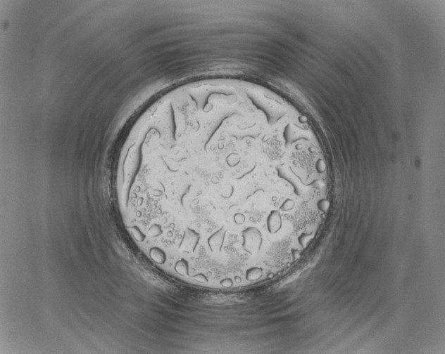 X0000062900835200602101804