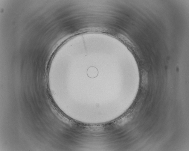 X0000062900836200602101804