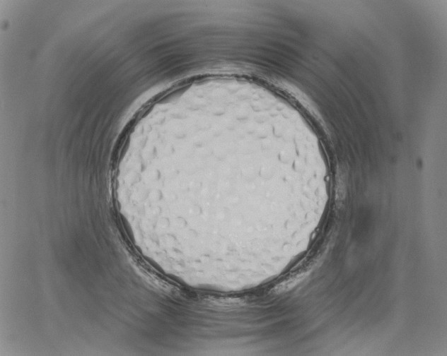 X0000062900837200602101804