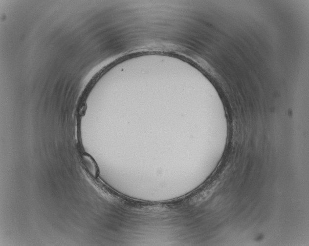 X0000062900838200602101804