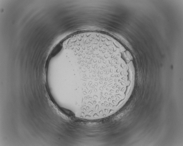 X0000062900839200602101804