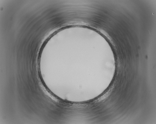 X0000062900840200602101805