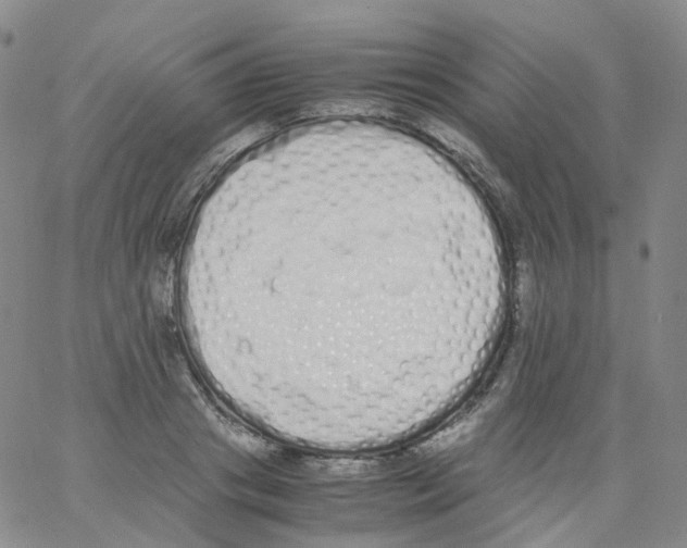 X0000062900841200602101805