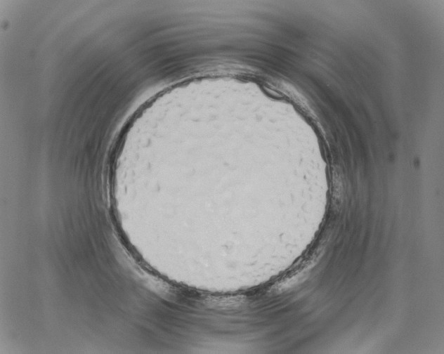 X0000062900843200602101805