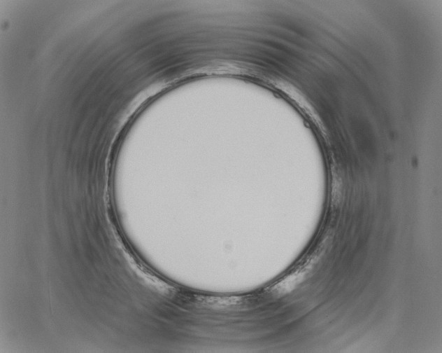 X0000062900845200602101805