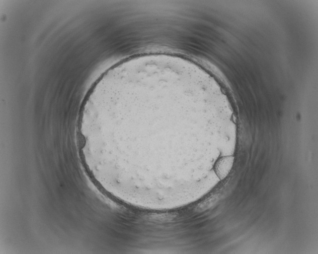 X0000062900847200602101805