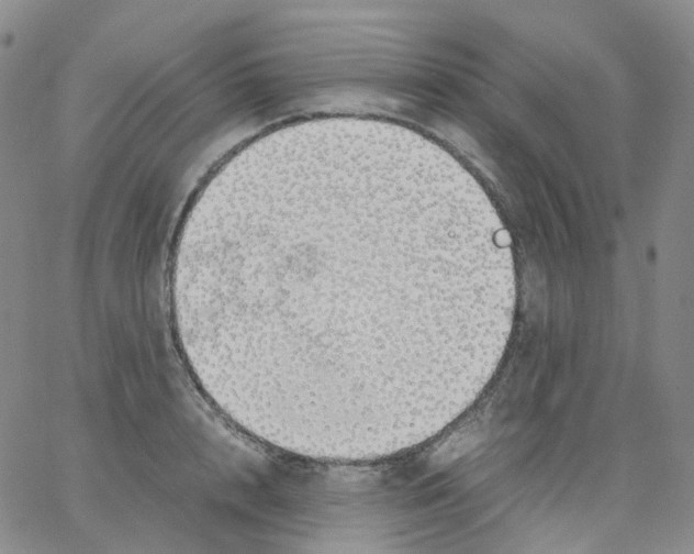 X0000062900848200602101805