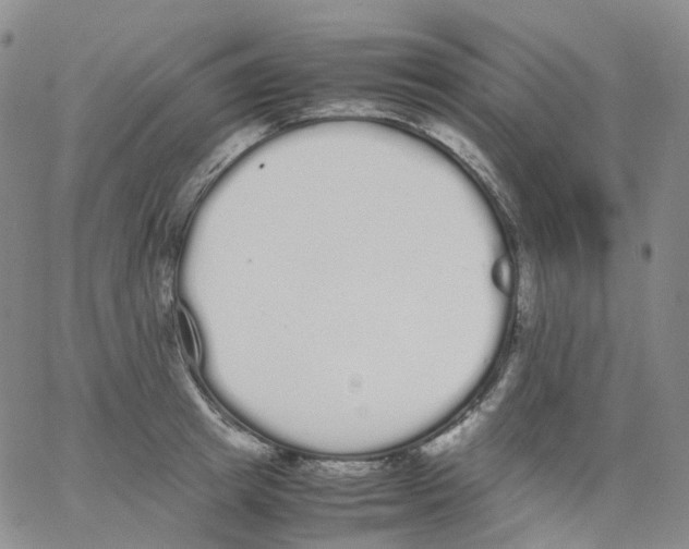 X0000062900849200602101805