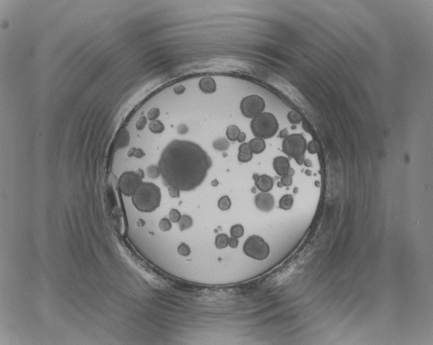 X0000062900850200602101805