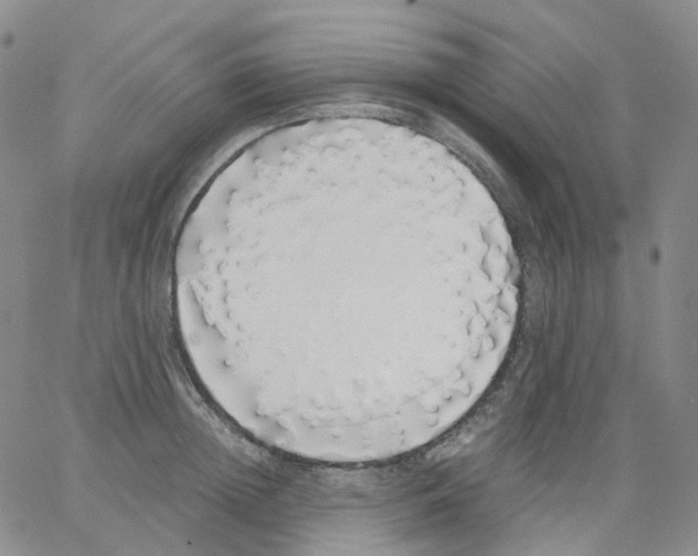 X0000062900852200602101805