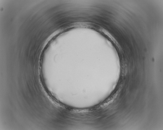 X0000062900853200602101805