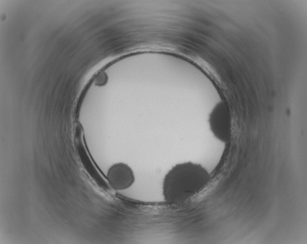 X0000062900854200602101805