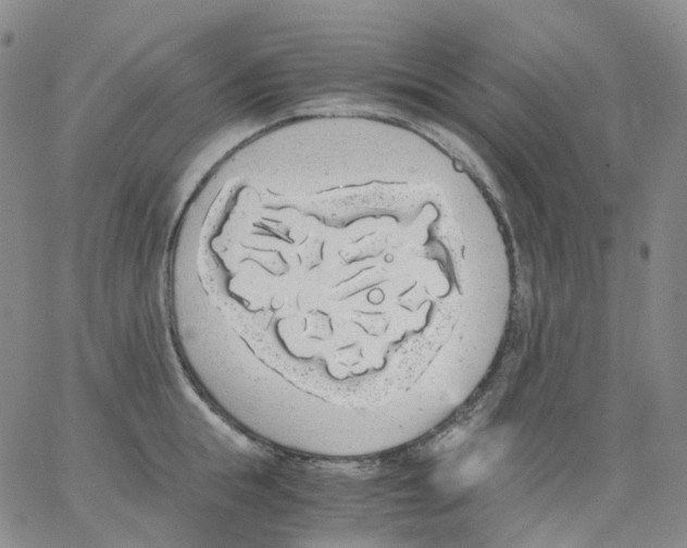 X0000062900855200602101805