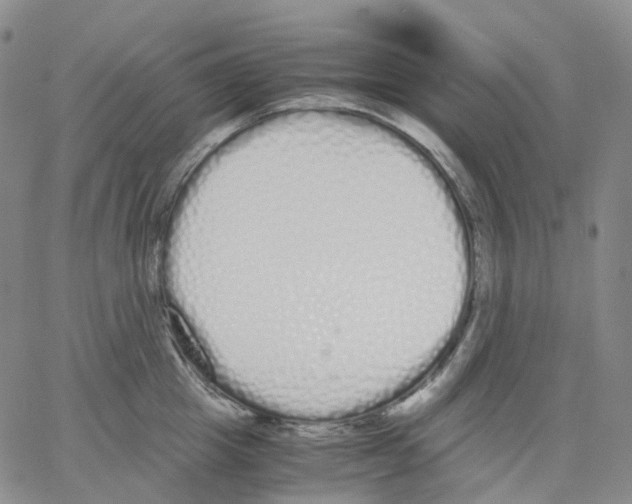 X0000062900857200602101805