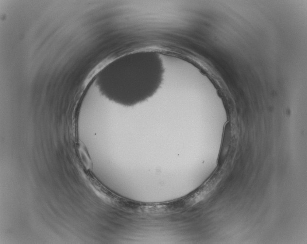 X0000062900858200602101805