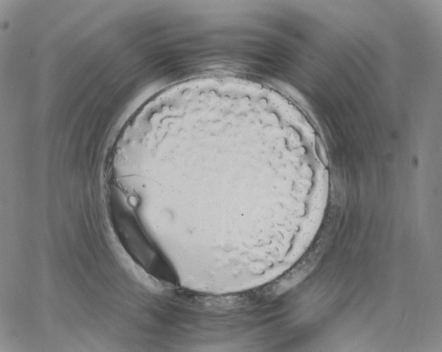 X0000062900859200602101805