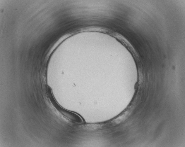 X0000062900860200602101805