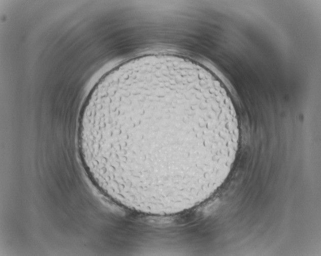 X0000062900861200602101805