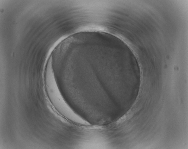 X0000062900864200602101805