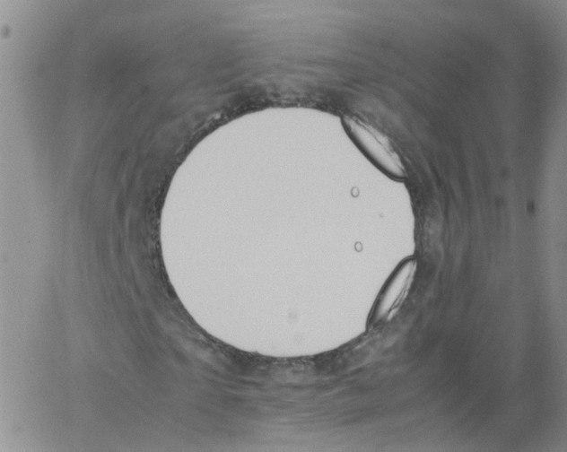 X0000062900865200602101804