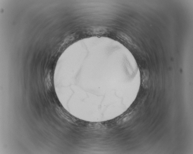 X0000062900866200602101804