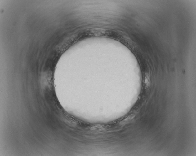 X0000062900867200602101804