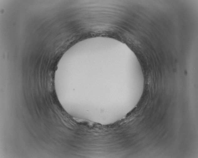 X0000062900868200602101804